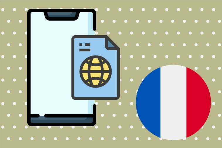 French Software Translation