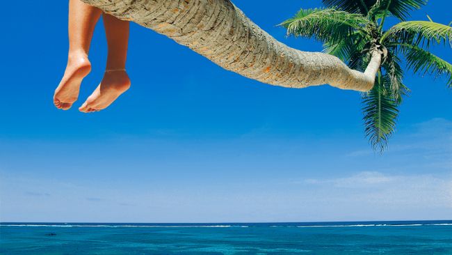 Seychelles Population