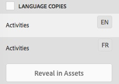 Adobe Experience Manager Translation
